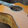 Breedlove Master Class King Koa - Image 9